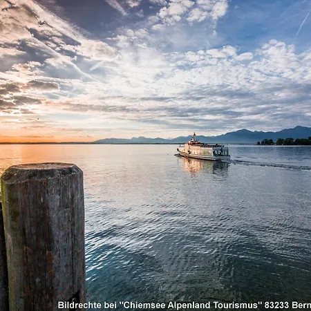 Eitermoser Afrikanischer Traum